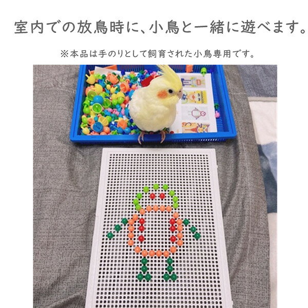 TAMAMIYA 楽天市場店の鳥のおもちゃ インコ おもちゃ バードトイ 鳥 小鳥 ストレス解消 鳥用玩具 プラスチック オカメインコ セキセイインコ ルリゴシボタンインコ 鳥グッ 鳥用品 鳥用おもちゃ ウロコインコ｜アングル2
