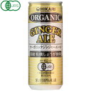 【光食品】オーガニックジンジャーエール250ml