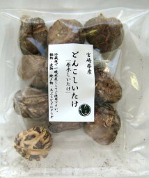 どんこ椎茸55g×10（宮崎県産）