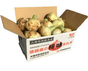 玉ねぎ　淡路島の新玉ねぎ「極味 新玉ねぎ」　10kg箱入り　タマネギ　送料無料（沖縄、　北海道を除く）