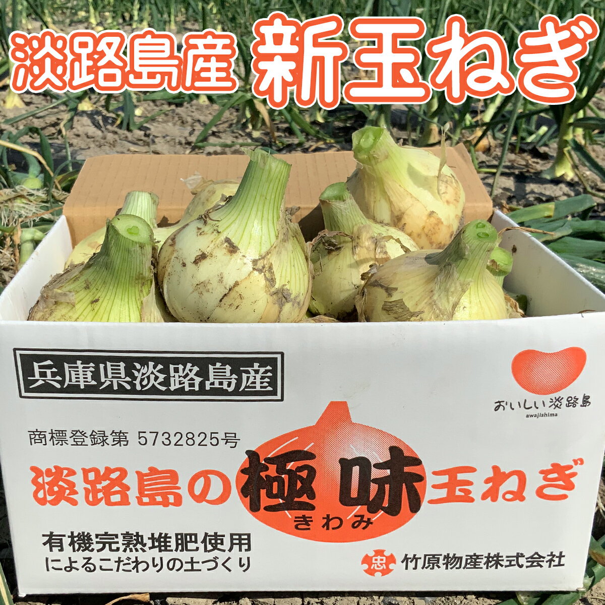 数量限定！今買える！淡路島の極味玉ねぎ10kg箱入り　味で勝負！！　産地直送！新玉葱　送料無料（沖縄、北海道を除く）