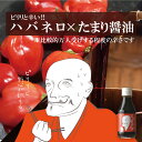 ハバネロ入りたまり醤油「なりあがり！」 パスタ、焼きおにぎり、餃子、焼き魚、焼きもち 麒麟がくる 斎藤道三×たまり キャンプ BBQ 調味料 たまりや 岐阜・山川醸造 アウトドア 料理 野外 フェス 高級醤油