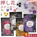 ステッカー 花 4色セット かわいい リアル シール ボタニカル ナチュラル デコレーション 手帳デコ スマホデコ オシャレ 日記 貼る デコ フラワー 可愛い...