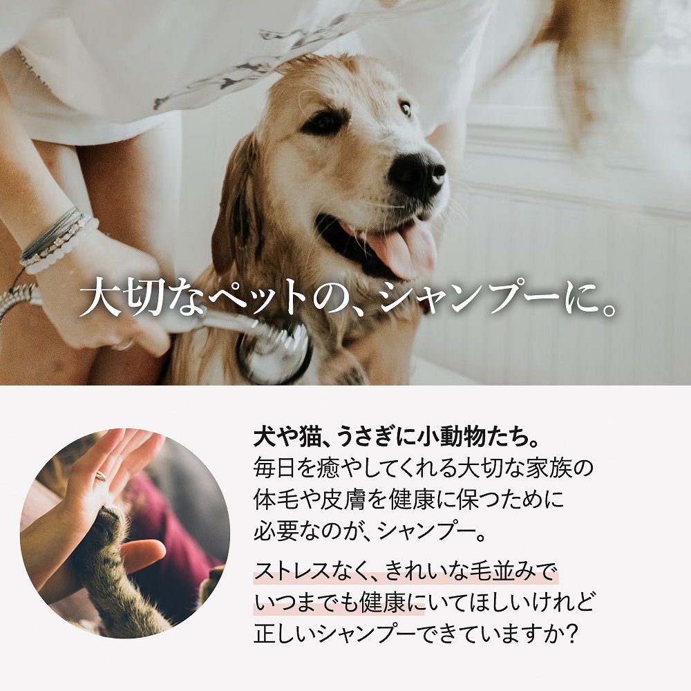 自然食の玉手箱 はちみつのペット シャンプー手袋 ボディブラシ シャンプーグローブ シリコン ペットブラシ グルーミング 抜け毛 トリートメント シリコンブラシ ブロー 換毛期 犬 猫 5色 柔らか 毛玉 毛並み ホワイトデーギフト 父の日 母の日 敬老の日 ビジネス カジュアル｜アングル2