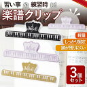 楽譜クリップ ピアノクリップ 鍵盤クリップ 3個セット ギフト プチギフト ピアノの発表会 大きめ クリップ ページオープナー ブラック ベージュ パープル 鍵...