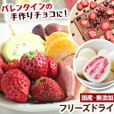 ドライフルーツ 国産 無添加 砂糖不使用 フリーズドライ ギフト 果物 旬 プレゼント いちじく いちご メロン みかん シャインマスカット 巨峰 桃 ブルーベ...