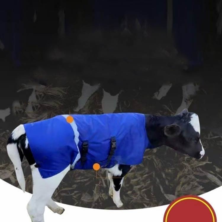 �� �Ƶ� �ɴ��к� �ҵ� �˸� �󥵥ݡ����� �侩��������0��2���� �ҵ� ���㥱�å� ��