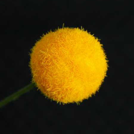 アートフラワーポンポンピックイエロー造花