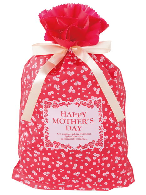 マザーズデイリボン付PEギフトバッグSサイズ230mmx340mmギフトバッグ 袋 プレゼント ラッピング