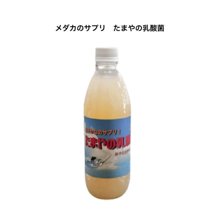 ޤݥΥ500mlݤޤ˻Ĳ¸Ψå