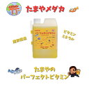 メダカ 生体 めだか卵 メダカの餌 めだか販売 卵 送料無料 水草 めだか産卵床 フィルター 稚魚 鉢 容器