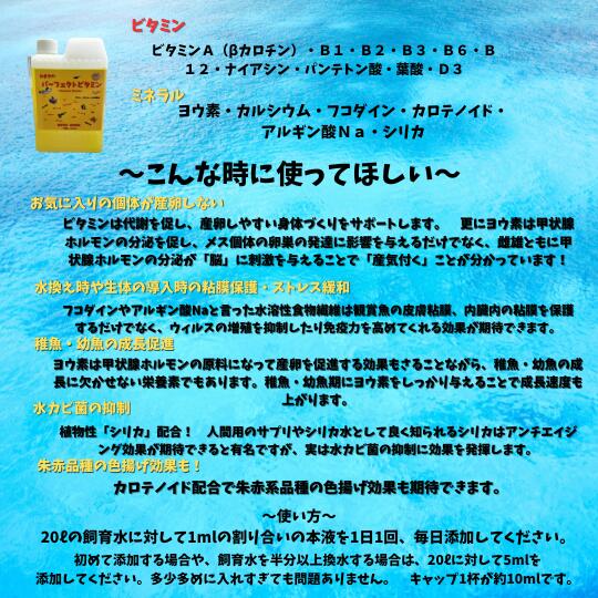 ���ޤ�Υѡ��ե����ȥӥ��ߥ�