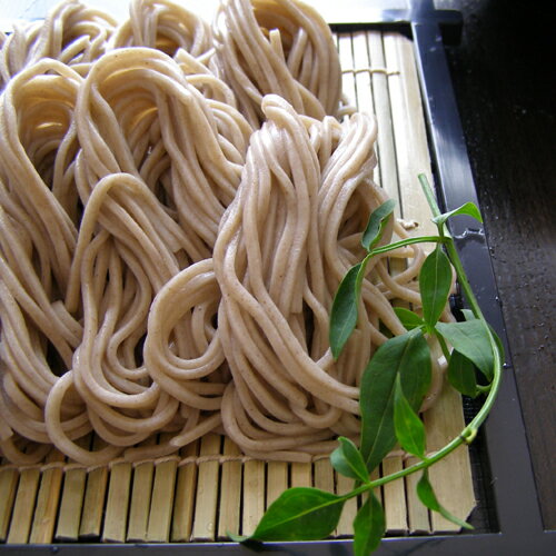 [2024年山形県産・新そば]【生】山形新そばセット【生麺そば+麺つゆ】 （10食分）【クール便限定】