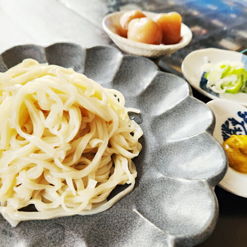 生）月山麦切り・和からし付セット（10食分）【クール便限定】