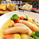 【送料無料】 地鶏 丹波黒どり ソーセージ 120g×4袋 丹波山本 冷凍 国産 BBQ バーベキュー チキンソーセージ ヘルシー ダイエット あっさり ムネ肉 鳥 カロリー 簡単 美味しい お取り寄せ ふるさと