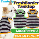 【犬の服タムベディ】【メール便送料無料】フレッシュボーダー★タンクトップ【犬 服 ドッグウェア アウトレット 着ぐるみ ペット パジャマ 犬の洋服 秋冬 犬 服】 【10P27Jun14】【RCP】【goika】