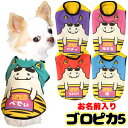 \4H限定★20%OFFクーポン★20周年/【犬 服 犬の服 秋服 冬服用 名入れ】愛犬のお名前入り ゴロピカ5 【ドッグウェア 鬼 節分 豆まき 雷 カミナリ チワワ ダックス トイプードル おもしろい マルチーズ タムベディ】(S/3/N/H/)