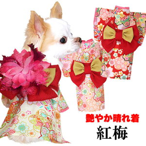 ペットと一緒にお正月 初詣や記念撮影にぴったりな犬用お正月衣装のおすすめランキング わたしと 暮らし ペットと一緒にお正月 初詣や記念撮影にぴったりな犬用お正月衣装のおすすめランキング わたしと 暮らし