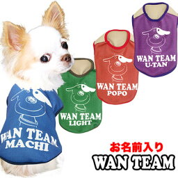 ＼最大2000円OFF★クーポン／【犬 服 秋冬 犬の服 名入れ】愛犬のお名前入り ワンチーム シャツ【ドッグウェア ラグビー チワワ ダックス トイプードル かわいい パピヨン】【202001】(S/3/N/H/)