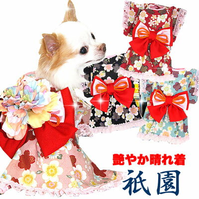 犬服 着物の上昇気流 犬服 着物の上昇気流