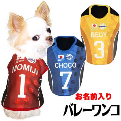 ＼半額満載★スーパーSALE／愛犬のお名前入り バレーボールワンコ(S/N/H/)