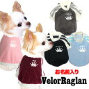 \最大半額!20周年SALE★5/7 9:59まで/【犬 服 犬の服 名入れ】愛犬のお名前入り ベロアラグラン【ドッグウェア ペット クラウン トイプードル チ...