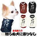 \最大半額!20周年SALE★5/7 9:59まで/【犬 服 犬の服 名入れ 秋服 冬服用】愛犬のお名前入り 触らぬ犬に祟りなし【ドッグウェア ことわざ ダック...