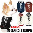 \全品P5倍+プレゼント★23日23:59まで/【犬 服 犬の服 名入れ 秋服 冬服用】愛犬のお名前入り 笑う犬には福来る【ドッグウェア ことわざ 文字 笑う門には福来る ダックス トイプードル チワワ タムベディたのしい】(S/3/RI/H/)