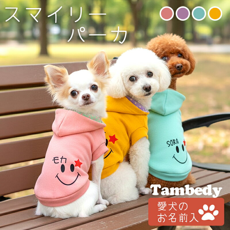 ＼4H限定★全品20%OFFクーポン／【犬 