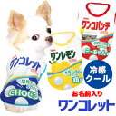 \最大半額!20周年SALE★5/7 9:59まで/【犬 夏服用 犬の服 名入れ 春服】ひんやり冷感クール 愛犬のお名前入り ワンコレット シャツ【ドッグウェア...