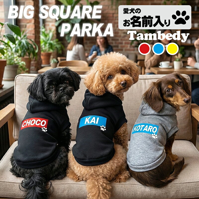 ＼4H限定★全品20%OFFクーポン／【犬 