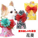 楽天犬服専門店TambedyDogWear＼全品P5倍★4/30 23:59まで／【犬 浴衣 夏服用】《コサージュ別売》花菱浴衣 はなびしゆかた【夏祭り 花火大会 和装 前開き ドッグ ペット ウェア アウトレット ダックス トイプードル チワワ タムベディ】【202205】[GI]