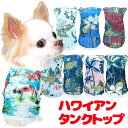\最大半額!20周年SALE★5/7 9:59まで/【犬 服 犬の服 春服 夏服用】ハワイアンタンクトップ《名入れ可能》【シースルー トロピカル ドッグ ペット...