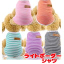 \最大半額!20周年SALE★5/7 9:59まで/【犬 服 犬の服 春 夏用】【名入れ可能】ライトボーダーシャツ【ワンポイント 抜毛対策 冷房対策 ドッグ ペ...