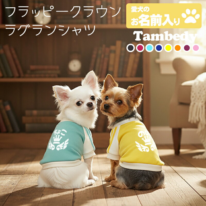 ＼4H限定★全品20%OFFクーポン／【犬 