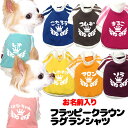\最大半額!20周年SALE★5/7 9:59まで/【犬 服 犬の服 名入れ 春秋服 冬服用】愛犬のお名前入り フラッピークラウンラグランシャツ【ライン スポー...