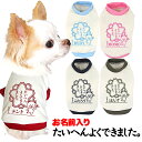 \最大半額!20周年SALE★5/7 9:59まで/【犬 服 犬の服 名入れ 春秋服 冬服用】愛犬のお名前入り たいへんよくできました 中型犬用【はんこ 印鑑 ...