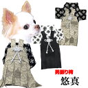 \最大半額!20周年SALE★5/7 9:59まで/【犬 服 犬の服 秋服 冬服用】男振り袴 悠真(ゆうま)《名入れ可能》【着物 和装 お正月 初詣 年賀状 七...
