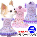 \全品P5倍+プレゼント★23日23:59まで/【犬 服 犬の服 名入れ 春服 夏服用】愛犬のお名前入り 接触冷感素材クール バレリーナワンピース【レース フリル ハート ドッグ ペット ウェア ダックス トイプードル チワワ タムベディおしゃれ】(H/)