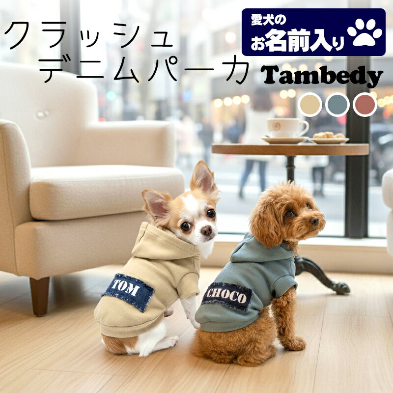 ＼4H限定★全品20%OFFクーポン／【犬 