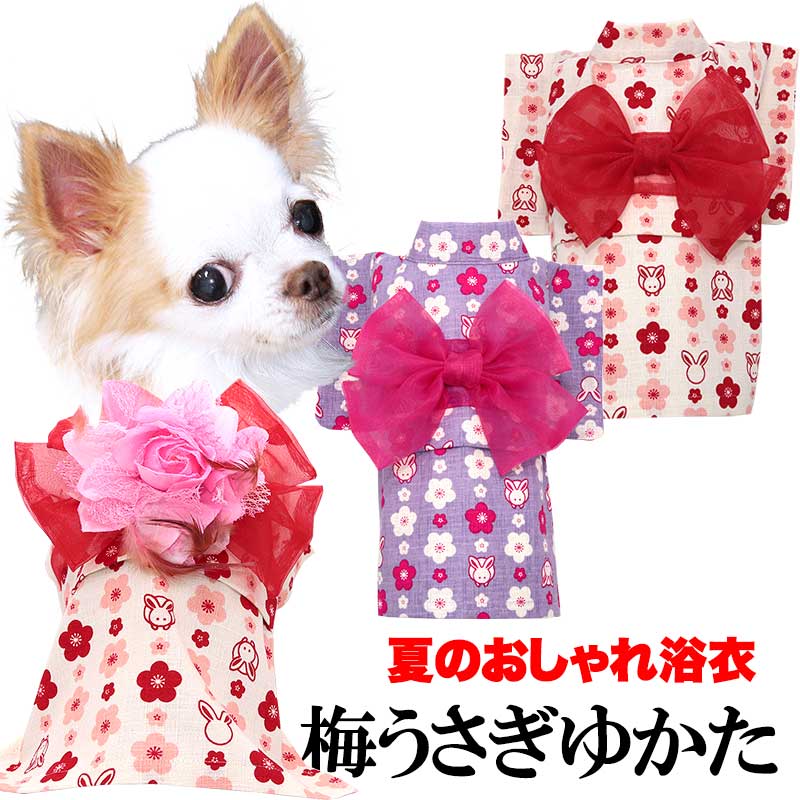 ＼全品P10倍★7/26 23:59まで／【犬 服 犬の服 春服 夏服用】梅うさぎ浴衣《コサージュ別売》【ゆかた 和柄 お祭り 花火 ドッグ ペット ウェア ダックス トイプードル チワワ タムベディ おしゃれ パグ】【202306】のサムネイル