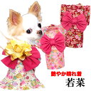 \最大半額!20周年SALE★5/7 9:59まで/【犬 服 犬の服 秋服 冬服用】艶やか晴れ着 若菜(わかな)《名入れ可能》《コサージュ別売》【和柄 正月 年...