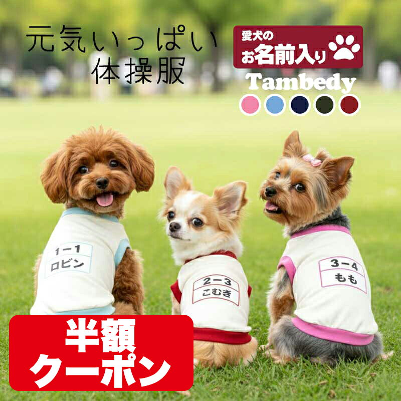 ＼4H限定★全品20%OFFクーポン／【犬 