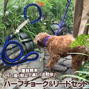 \11日10:00-★わんわんSALE/【犬 服 犬の服 カラー リード】ハーフチョーク&リードセット【犬用 ハーフチョーク トレーニング用 しつけ 訓練 カラ...