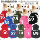 \11日~わんわんSALE/【犬 服 犬の服 名入れ】愛犬のお名前入り スペース タンクトップ【ドッグウェア トイプードル チワワ ダックス おしゃれ パグ タムベディ】(O/F/T/L/)