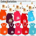 \最大半額!20周年SALE★5/7 9:59まで/【犬 服 犬の服 名入れ】愛犬のお名前入り ファイブ&ファイブ タンクトップ【ドッグウェア ペット 背番号 ...