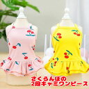 \全品P10倍★5/11 23:59まで/【犬 夏服 犬の服 春服用】さくらんぼの2段キャミワンピース【ドッグウェア ペット チェリー アウトレット ダックス ...