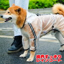 \最大半額!20周年SALE★5/7 9:59まで/【犬 服 犬の服】シースルーレインコート【ドッグウェア 合羽 カッパ 雨具 梅雨 お散歩 チワワ ダックス ...