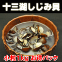 青森県産 十三湖産冷凍しじみ貝 小粒1kgパック ≪大和シジミ・砂抜き済み・しじみ 味噌汁・冷凍 しじみ≫【SS】| 青森 お土産 ギフト 冷凍しじみ お取り寄せ 土産 東北 冷凍シジミ 健康食品 贈り物 食べ物 食品 ご当地 具 みそ汁 貝 二日酔い 海鮮 お味噌汁 冷凍 取り寄せ