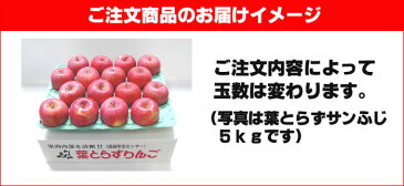 送料無料 青森 りんご 葉とらずりんご サンふじと王林セット 10kg（32玉前後）≪秀品大玉 贈答用ランク 青森県産 産地直送 青研≫| お土産 王林 葉とらず 果物 ギフト 大玉 贈答用りんご リンゴ 青森りんご 贈答品 サンふじ さんふじ サンフジ 青森県産 贈答用